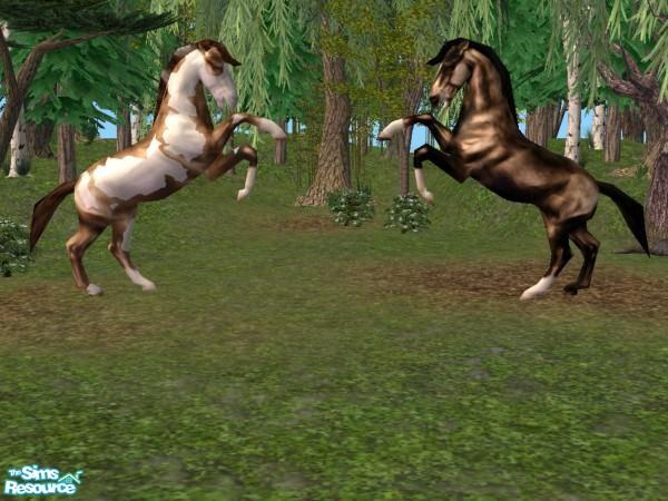 Sims 2 — Rearing Stallion by Suiryuue — Rearing Stallion new mesh. They can be found under sculptures and miscellaneous.