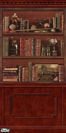 Sims 2 — Study Wall 1 by TSR Archive — Part of a set of 2 walls with shelves for a study or library, matches Maxis