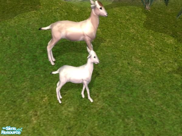 Sims 2 — Baby Goat by Suiryuue — Baby goat to add to your Sim farms. It can be found under sculptures and should work