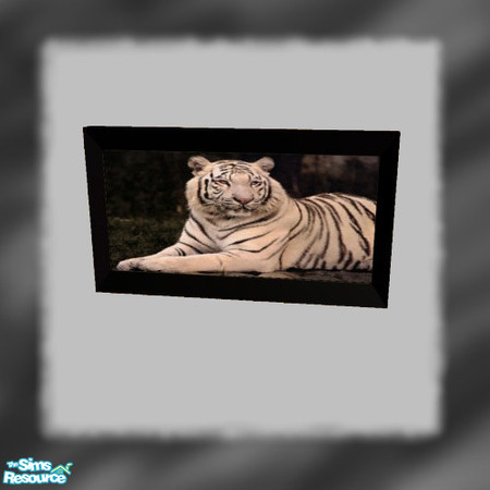 Sims 2 — Dark Design's Painting - White Tigr by Dark_Design — One in a set of six paintings.