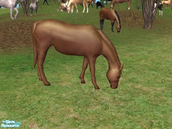 Sims 2 — Grazing Mare Recolor - Brown by Suiryuue — Grazing mare for your sims farm yard. Base mesh is the brown horse