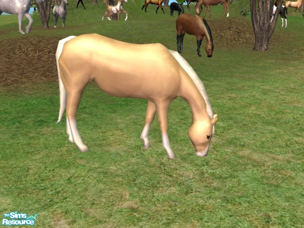 Sims 2 — Grazing Mare Recolor - Palomino by Suiryuue — Grazing mare for your sims farm yard. Base mesh is the brown horse