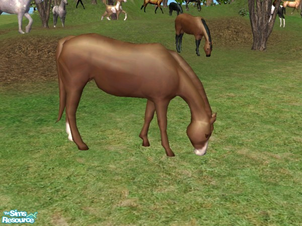 Sims 2 — Grazing Mare Recolor - Brown and White by Suiryuue — Grazing mare for your sims farm yard. Base mesh is the