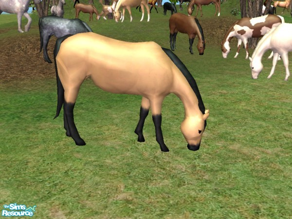 Sims 2 — Grazing Mare Recolor - Buckskin by Suiryuue — Grazing mare for your sims farm yard. Base mesh is the brown horse
