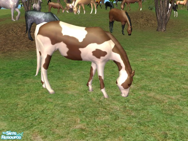 Sims 2 — Grazing Mare Recolor - Pinto by Suiryuue — Grazing mare for your sims farm yard. Base mesh is the brown horse