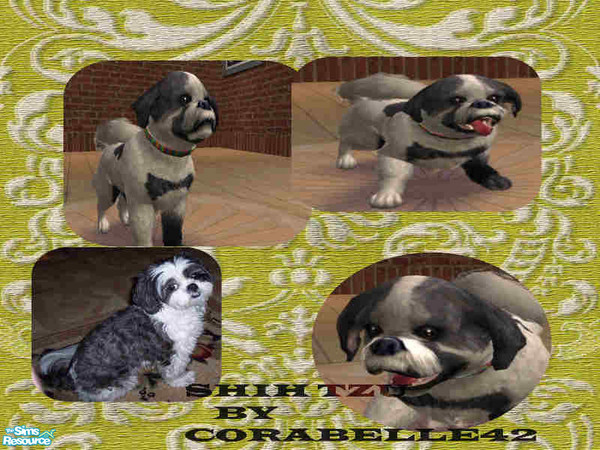 Sims 2 — shih tzu by corabelle42 — This was a request by chickerson and i hope she likes it. it\'s the very best i could