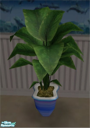 Sims 2 — Oceanic Plant 2 by hotbeeyatch — Plant for my Oceanic Bedroom