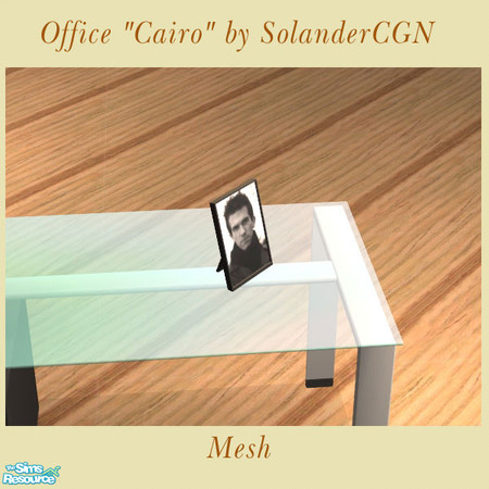 Sims 2 — Office "Cairo" - Picture frame by SolanderCGN — Picture frame as part of the "Cairo" office