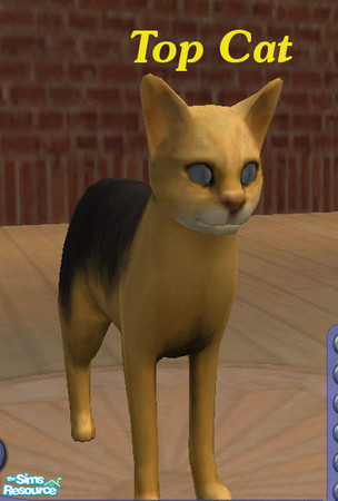 Sims 2 — Top Cat by TrailRunner782 — Top Cat, or TC as he is known to his friends is \"the boss, he\'s the VIP,