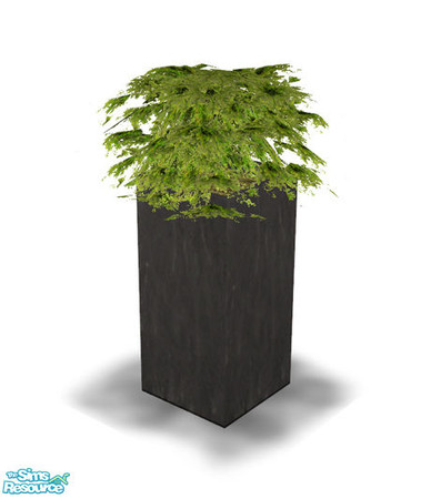 Sims 2 — Orizzonte Living - Plant by Murano — 
