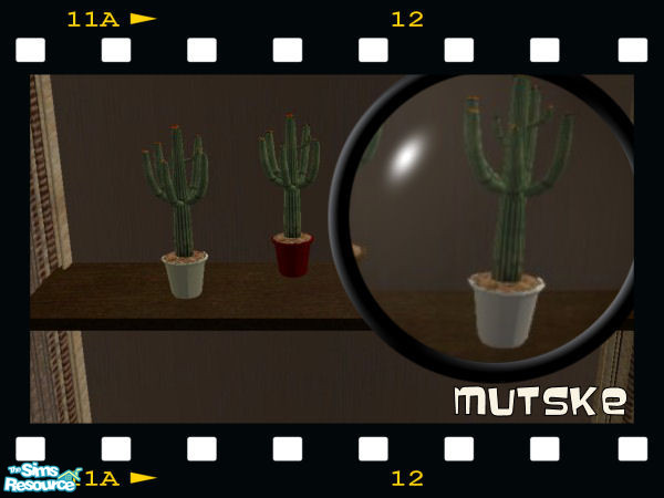 Sims 2 — Cactus set white by Mutske — Nice cactus to go on any surface. New mesh.
