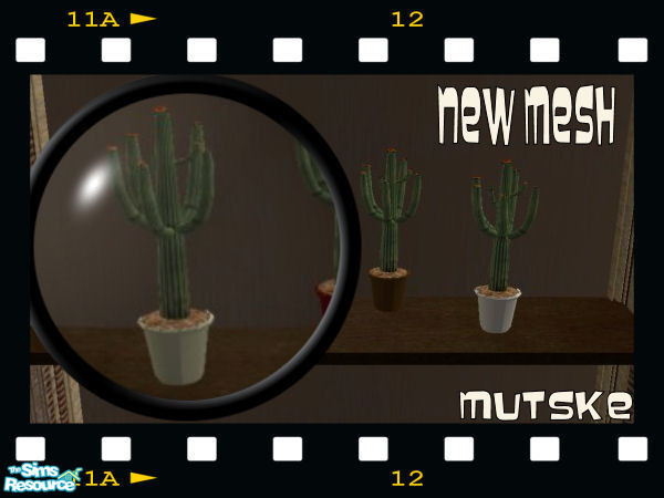 Sims 2 — Cactus new mesh by Mutske — Nice cactus to go on any surface. New mesh. OFB competable, placeable on the shelfs.