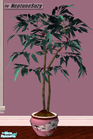 Sims 2 — NSC Fig Tree Plant 8 - Pink Floral Pot by Neptunesuzy — Your sims will love this beautiful Potted Fig tree with