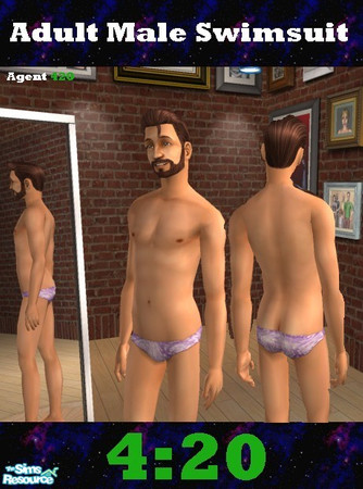 Sims 2 — A Tight Purple Small Speedo by Agent420 — Gross, look at this speedo for adult males. It looks like it's a