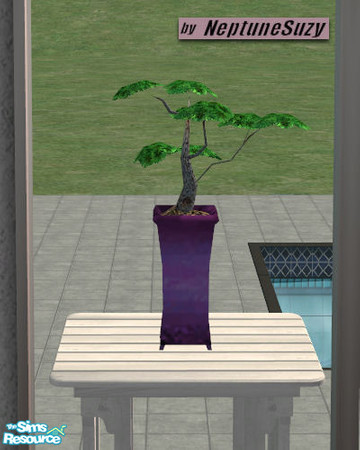 Sims 2 — NSC Potted Plant - Bonsai by Neptunesuzy — Your sims will love this potted plant in it's purple pot! Enjoy!