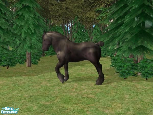 Sims 2 — Clydesdale Black Recolor by Suiryuue — Hi Folks, here's a Clydesdale to add to your Sim Farm. The mesh is brown