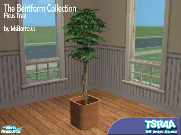 Sims 2 — Bentform Ficus Tree by MsBarrows — Ficus tree in Bentform Planter.