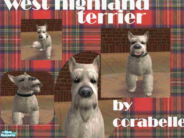 Sims 2 — west highland terrier  by corabelle42 — often called westies, these guys are great pets for any sim family. they