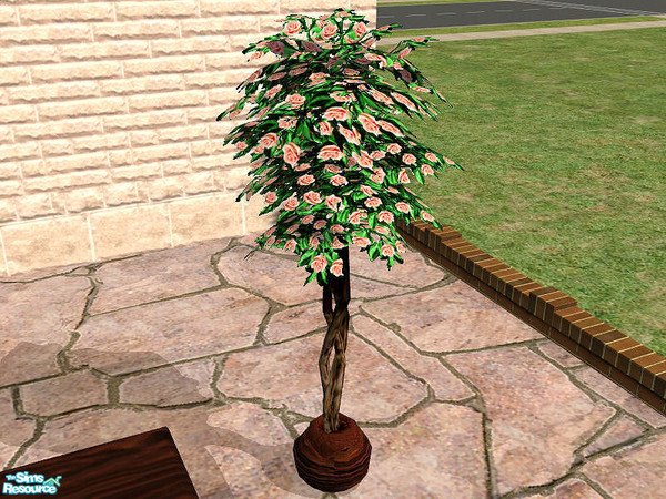 Sims 2 — Dark wood patio set plant by Cori27 — Please enjoy!