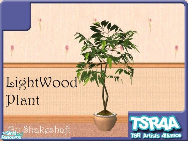 Sims 2 — LightWood Plant by TSR Archive — This plant is in a LightWood Pot, part of the Modern Dining Set...** TSRAA