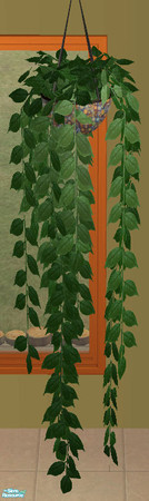 Sims 2 — Makower Dining  Hanging Plant by brena31 —  The hanging plant (pot only) from the Lucca dining room by