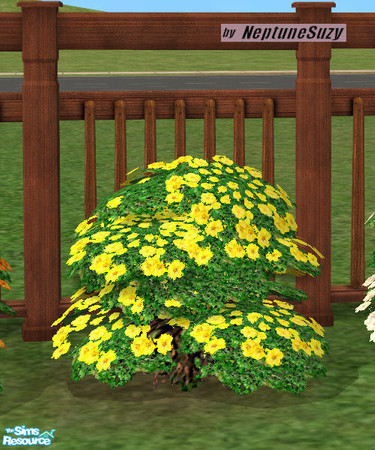 Sims 2 — NSC Plant - Plastic Phlox 10 by Neptunesuzy — Your sims will love this yellow Plastic Phlox Plant! Does not need
