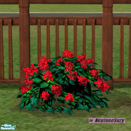 Sims 2 — NSC Plant - Plastic Hydrangea 8 by Neptunesuzy — Your sims will love this red Plastic Hydrangea Plant! Does not
