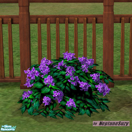 Sims 2 — NSC Plant  - Plastic Hydrangea 5 by Neptunesuzy — Your Sims will love this rich purple colored Plastic Hydrangea