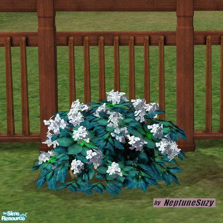Sims 2 — NSC Plant - Plastic Hydrangea 1 by Neptunesuzy — Your sims will love this pastel blue colored Plastic Hydrangea