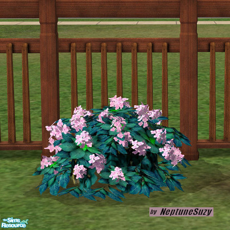 Sims 2 — NSC Plant - Plastic Hydrangea 3 by Neptunesuzy — Your sims will love this pastel pink colored Plastic Hydrangea
