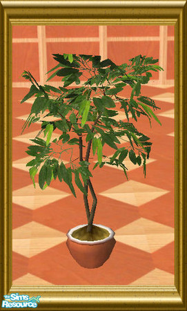 Sims 2 — TSRAA - Kitchen Set Two - Beech Wood - F by oldmember_SavannahSims — Ahhh! The lovely calm feeling of matching