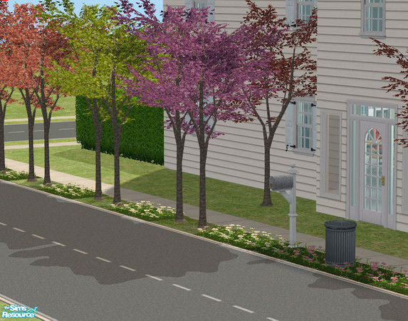 Sims 2 — Japanese Maple Can by DOT — *NO CHEAT REQUIRED* *Please Find in \'Decorative\'* Plants at curb side. For the