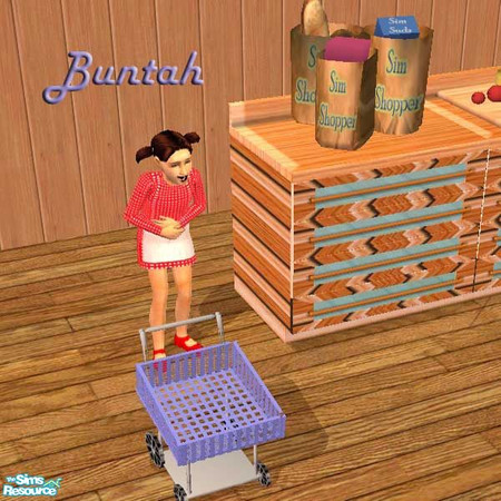 Sims 2 — Blue Basket for Kids Shopping Cart by buntah — This requires the mesh file in this set.