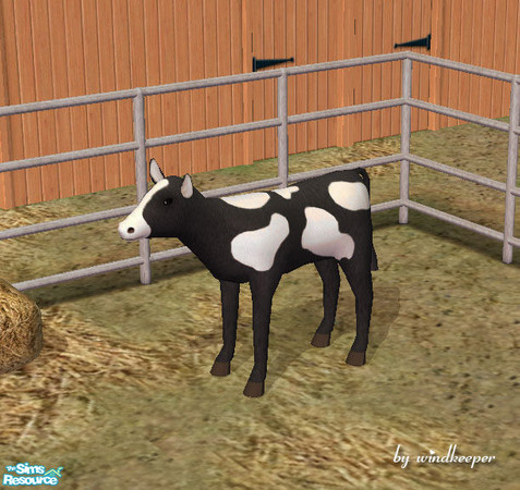Sims 2 — Black calf white spots by Windkeeper — *Jun 17/06 updated to remove shine* You need to download "Calf"