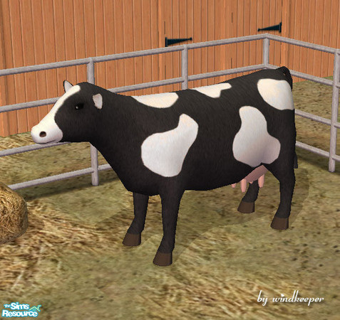 Sims 2 — Black cow white spots by Windkeeper — *Jun 17/06 updated to remove shine* You need to download "Dairy