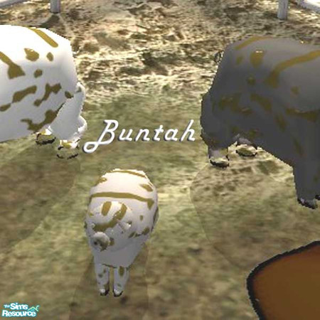 Sims 2 — Muddy Gray Piglet by buntah — This requires the mesh to work.