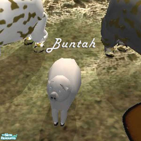Sims 2 — Gray Piglet by buntah — This requires the mesh to work.