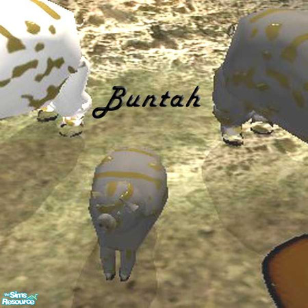 Sims 2 — Muddy Black Piglet by buntah — This requires the mesh to work.