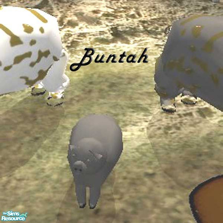 Sims 2 — Black Piglet by buntah — This requires the mesh to work.