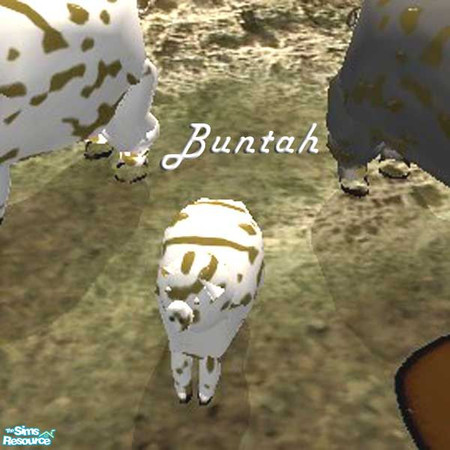 Sims 2 — Muddy White Piglet by buntah — This requires the mesh to work.