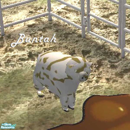 Sims 2 — Muddy Gray Piggy by buntah — This requires the mesh to work.