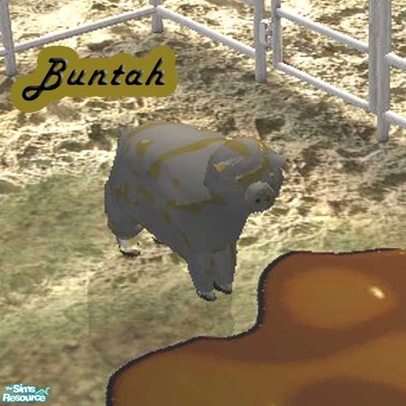 Sims 2 — Muddy Black Piggy by buntah — This requires the mesh to work.