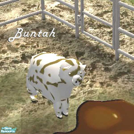 Sims 2 — Muddy White Piggy by buntah — This requires the mesh to work.