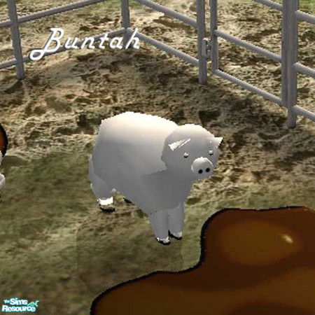Sims 2 — White Piggy by buntah — This requires the mesh to work.