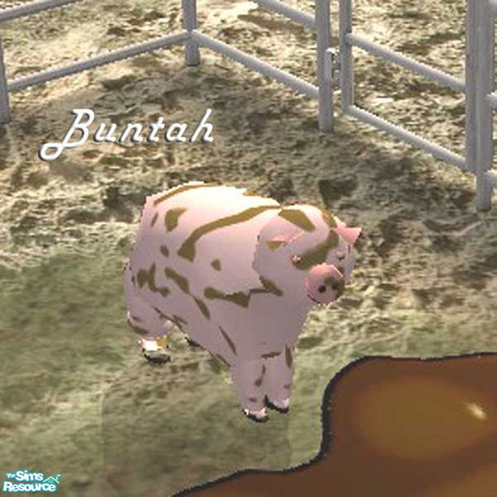 Sims 2 — Muddy Pink Piggy by buntah — This requires the mesh to work.