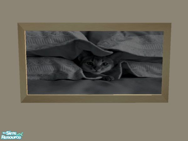 Sims 2 — Hide and Seek Cat by TSR Archive — Part of a set of 5 Adorable Cat Prints. ** TRSAA Member **