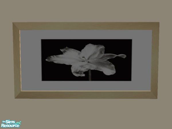 Sims 2 — Iris Print by TSR Archive — Part of a set of 4 Modern Floral Prints. ** TSRAA Member **