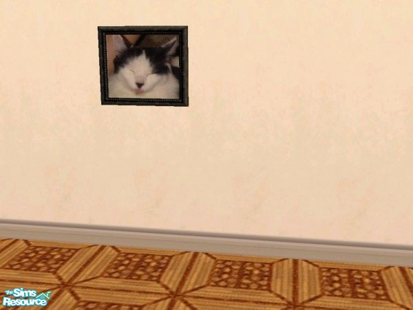 Sims 2 — TSRAA Gallery Submission Mr Kitten by c_literati — My oldest cat, the mighty Mr Kitten, expressing his usual