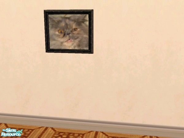 Sims 2 — TSRAA Gallery Submission Annabel Lee by c_literati — Our little Persion princess, Miss Annabel Lee, in mid-play,
