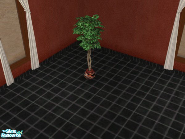 Sims 2 — Key West Ficus by SimsLvrGrl — Hot and cool, all at the same time!